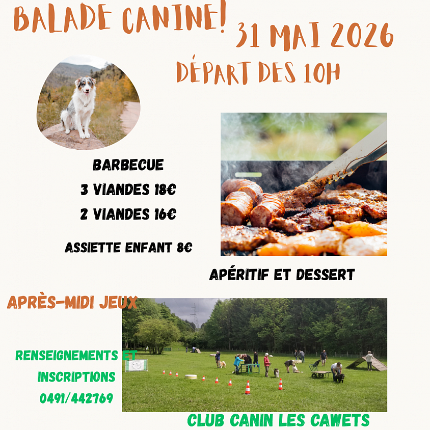 balade canine